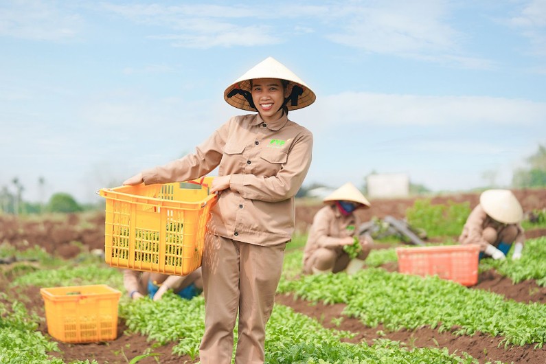 Các sản phẩm cấp tín dụng cần được triển khai đa dạng các ngành mà HTX Việt Nam hoạt động lớn mạnh như: Gạo, Cà phê, Nông nghiệp ứng dụng công nghệ cao…
