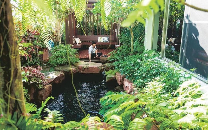 Ngôi nhà có sân vườn, ao cá, thác nước, một “ốc đảo” giữa lòng đô ...