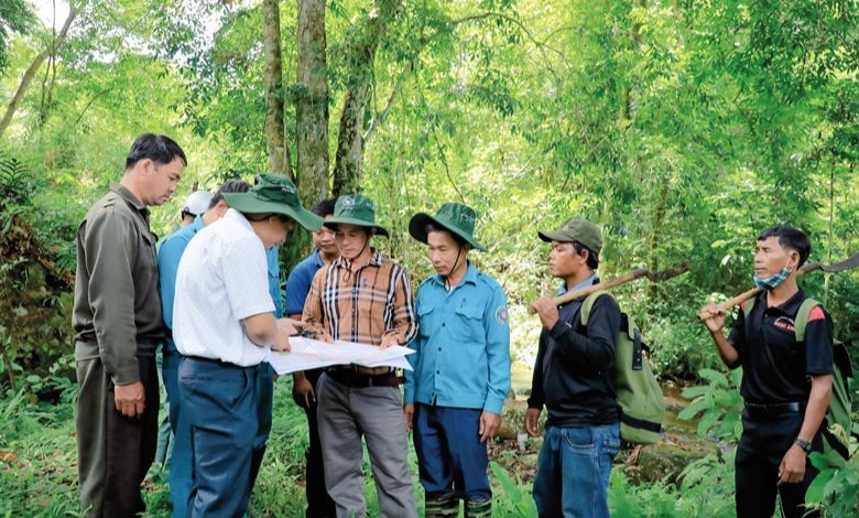  Các hộ nhận khoán bảo vệ rừng và chủ rừng thực hiện công tác tuần tra bảo vệ rừng. Ảnh: Báo Lâm Đồng