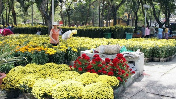 130 chợ hoa Tết và đường hoa xuân phục vụ người dân và du khách TP HCM