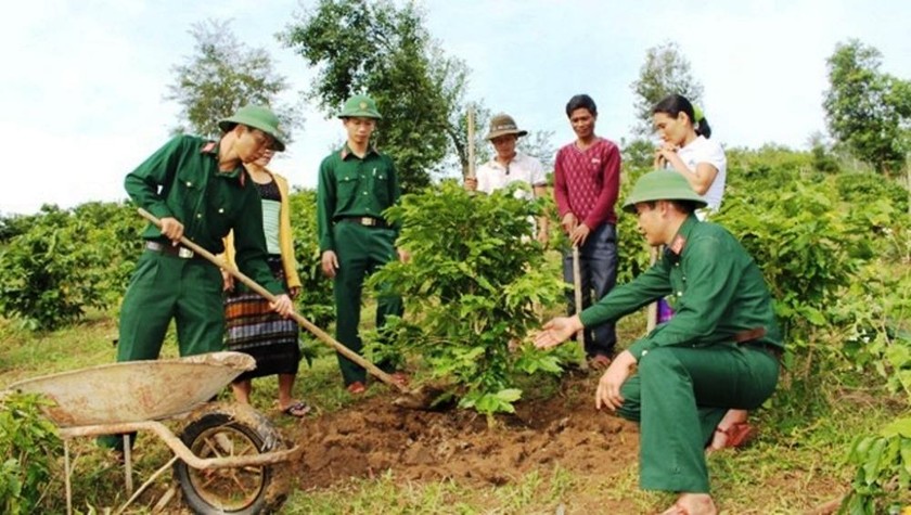 Cán bộ, nhân viên Đoàn Kinh tế - Quốc phòng 337 hướng dẫn nhân dân vùng dự án chăm sóc cây cà phê. 