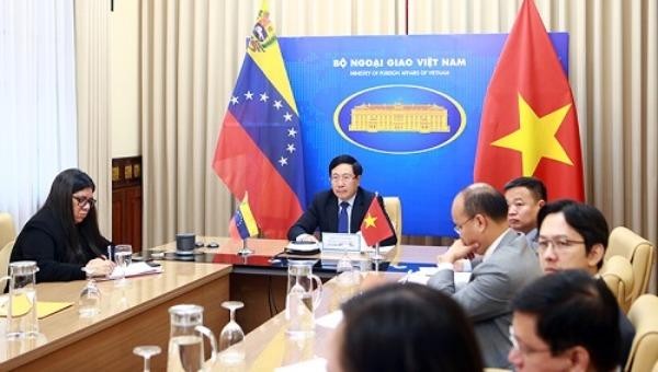 Phó Thủ tướng Phạm Bình Minh hội đàm trực tuyến.
