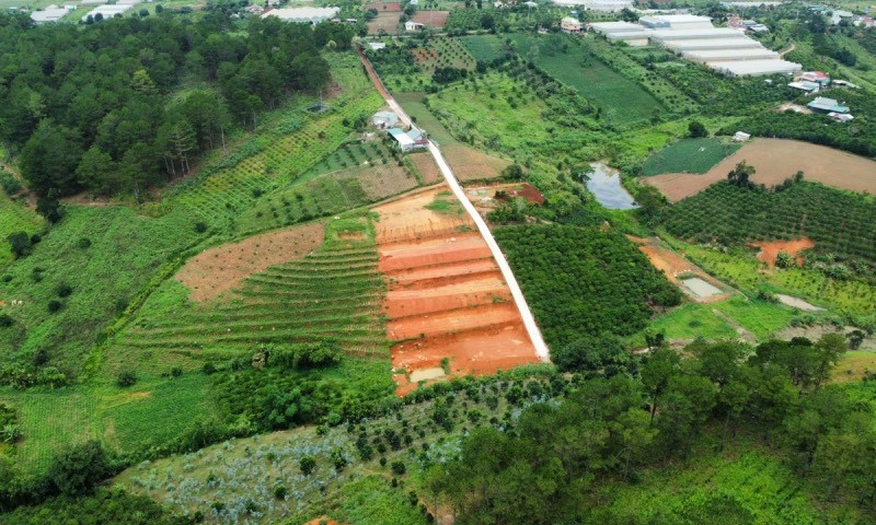 Việc rà soát, điều chỉnh quy hoạch 3 loại rừng là vấn đề nóng tại Lâm Đồng.