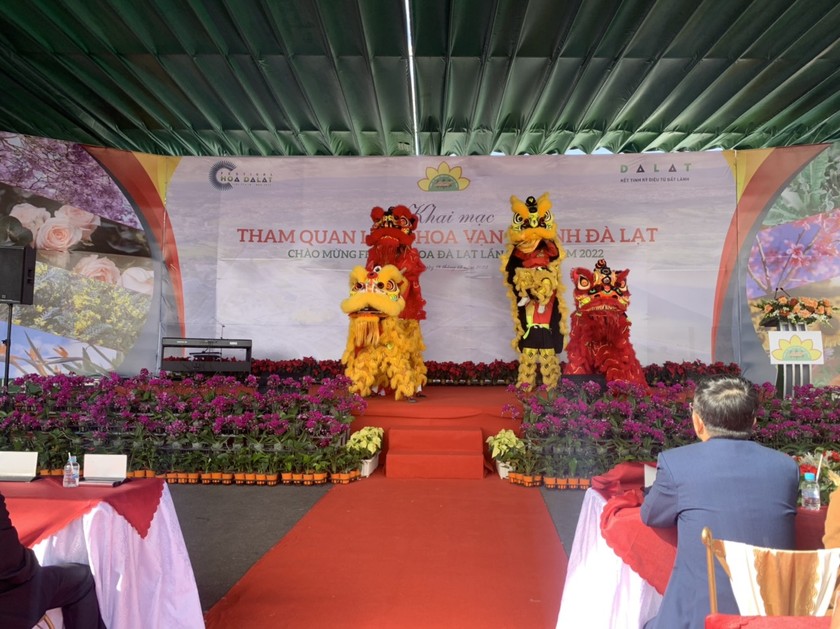 Đến Festival hoa Đà Lạt, thêm trải nghiệm làng hoa truyền thống  ảnh 2