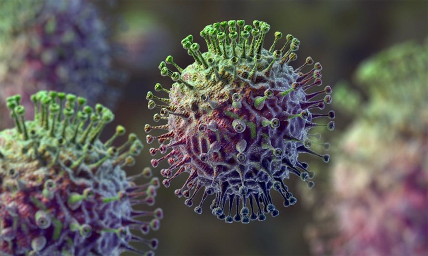 Virus cúm A/H5N1 ở người hiện nay chính là từ virus cúm A/H5N1 ở gia cầm lây lan
