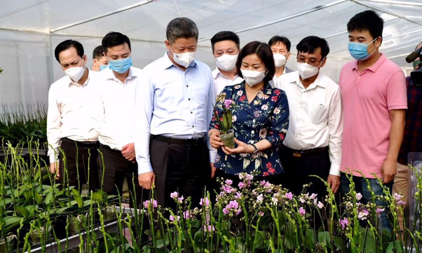 Phó Bí thư Thường trực Thành ủy Hà Nội Nguyễn Thị Tuyến cùng Đoàn công tác TP Hà Nội thăm cơ sở sản xuất hoa lan công nghệ cao tại xã Mỹ Hưng, huyện Thanh Oai.