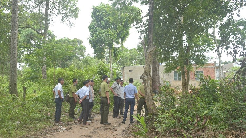 Vườn quốc gia Phú Quốc- “báu vật” Đảo Ngọc ảnh 4