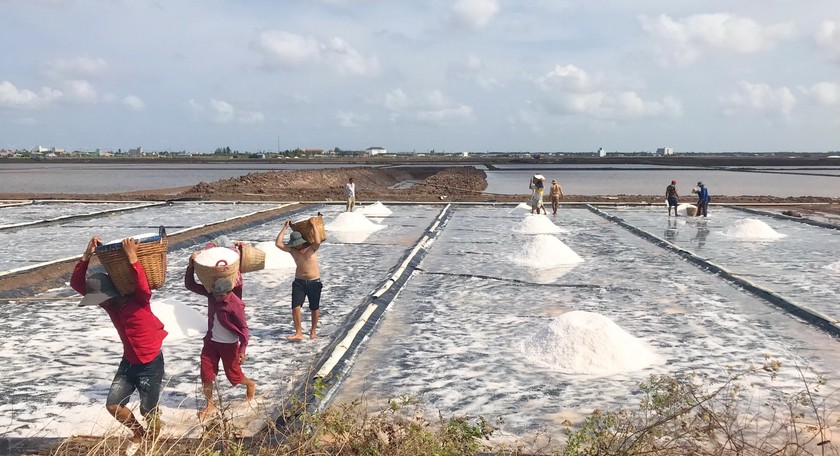 Nhiều sản phẩm OCOP đạt 4 sao từ hạt muối Bạc Liêu ảnh 2