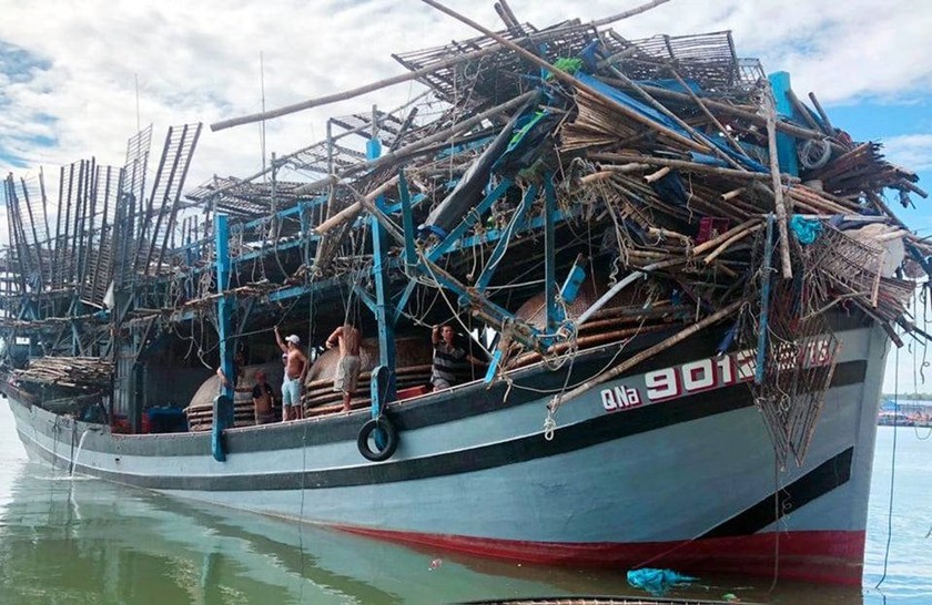 Quảng Nam: Tàu hàng rời khỏi hiện trường sau khi đâm va tàu câu mực