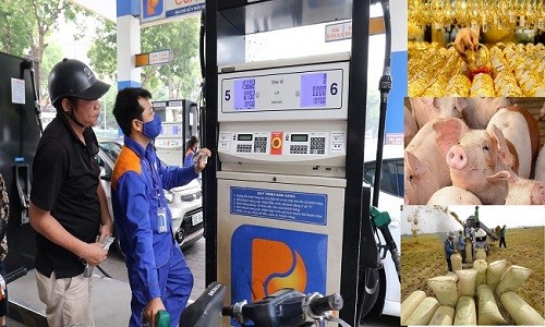Giá các mặt hàng thiết yếu ngày 30/11: Giá gạo Đồng bằng sông Cửu Long tăng, giá xăng dầu thế giới tăng mạnh