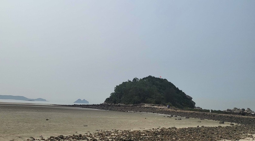 Đảo Ngọc Vừng: Viên ''ngọc trai'' trên biển Quảng Ninh ảnh 3
