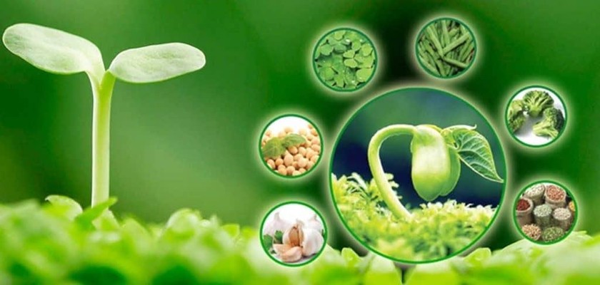 Ưu điểm của việc bổ sung nội tiết tố bằng tinh chất mầm đậu nành ảnh 1