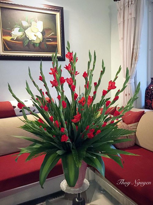 3 Kiểu Cắm Hoa Lay Ơn Mang Không Khí Tết Ngập Tràn Nhà Bạn | Báo Pháp Luật  Việt Nam Điện Tử