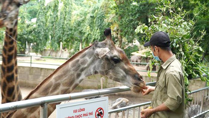 Vườn thú Mỹ Quỳnh  Mỹ Quỳnh Safari điểm đến hấp dẫn ở Long An