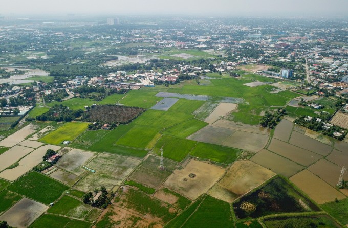 Cty Cây trồng TP có diện tích thanh tra lớn nhất với 2,7 triệu m2 tại huyện Bình Chánh. (Ảnh chụp tháng 7/2020) 