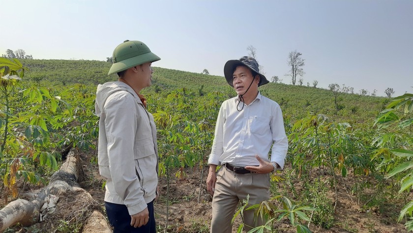 Ông Minh (bên phải) tại khu đất đã bị chặt phá cây trồng.