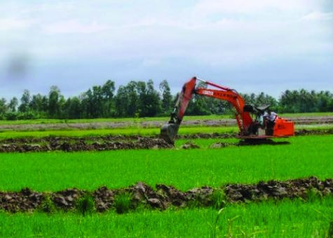 Một số hộ dân ở ấp 1, 2 và 4 xã Tân Lộc Bắc đã bất chấp chủ trương, đưa máy vào cuốc đất ruộng để nuôi tôm. (Ảnh chụp đầu tháng 7/2013)