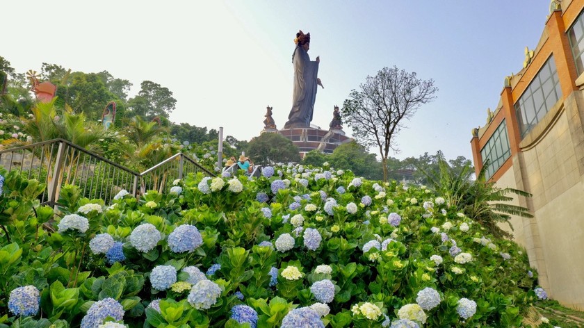 Tưng bừng không khí lễ hội trên núi Bà Đen (Tây Ninh) trong tháng 4 ảnh 7