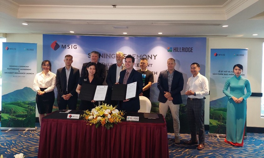 Hillridge và MSIG Việt Nam ký kết hợp tác ra mắt sản phẩm bảo hiểm hạn hán tại Việt Nam.