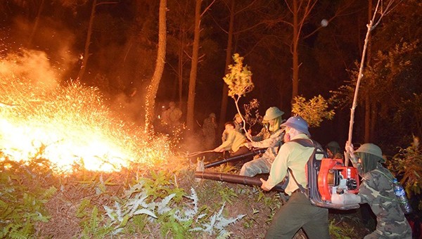 Cháy rừng xảy ra trong thời tiết gió Lào mạnh, rừng thông khô do không có mưa trong thời gian dài (ảnh CANX)