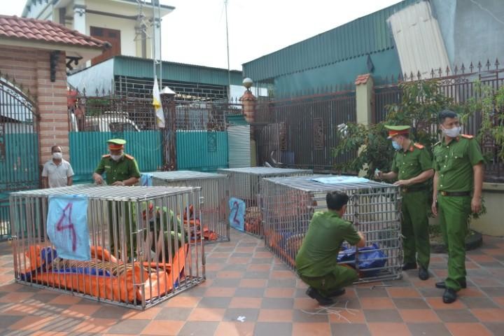 Lực lượng công an kiểm tra cơ sở nuôi nhốt động vật hoang dã trái phép của anh Nguyễn Văn Hiền (SN 1982) và chị Hồ Thị Thanh (SN 1990) ở xã Đô Thành huyện Yên Thành.