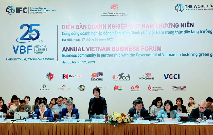Thứ trưởng Bộ KH&ĐT Nguyễn Thị Bích Ngọc phát biểu tại Phiên họp