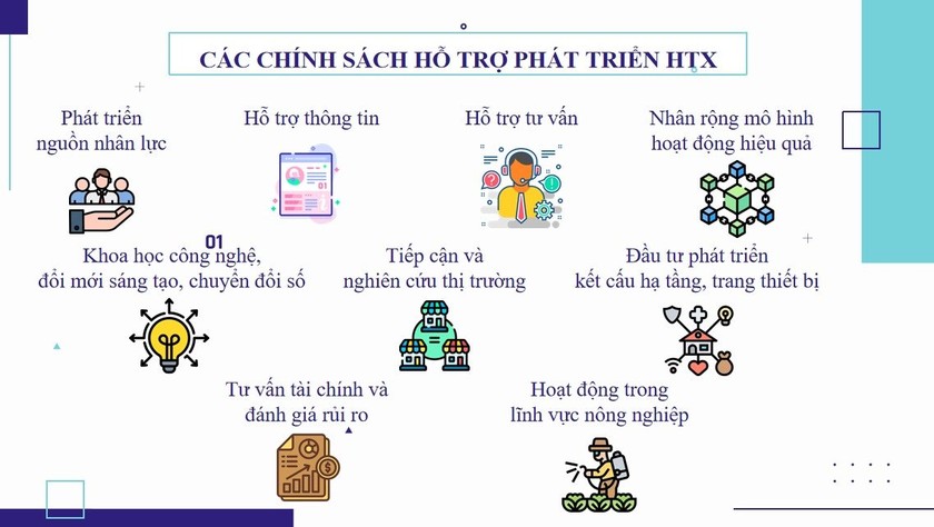 Các chính sách hỗ trợ phát triển HTX theo Luật HTX 2023.