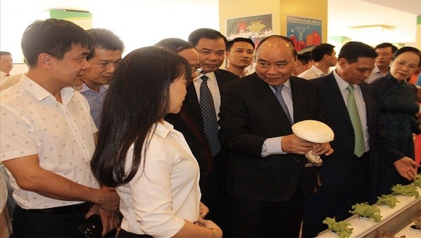 Thủ tướng Chính phủ tham quan khu trưng bày sản phẩm nông sản