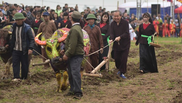 Phó Thủ tướng Thường trực Trương Hòa Bình cày ruộng trong lễ hội Tịch điền trên cánh đồng Đọi Sơn