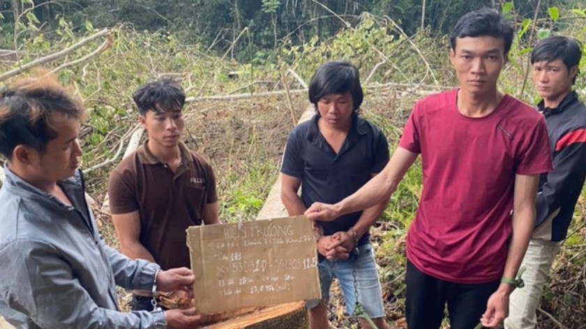 Các đối tượng tham gia vụ phá rừng tại xã Phúc Thọ (huyện Lâm Hà).