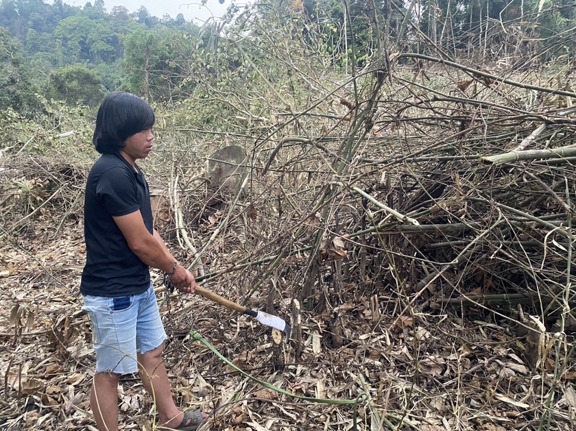 Tạm giữ 6 đối tượng phá gần 1 ha rừng ở Lâm Đồng ảnh 1