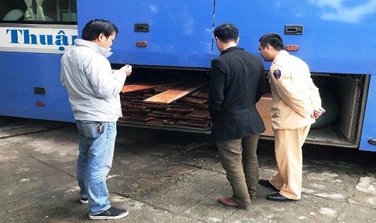 Số gỗ quý hiếm được cất giấu dưới gầm xe