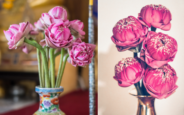 Những loại hoa nên bày trên bàn thờ để thu hút tài lộc ảnh 1