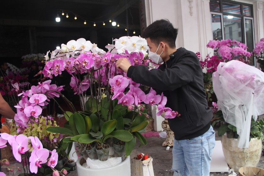 Kết hoa lan là công việc thời vụ nhưng đem lại thu nhập cao cho các thợ kết hoa