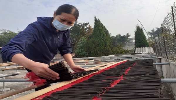 Người dân thôn Cao đang tranh thủ phơi hương xạ chuẩn bị phục vụ thị trường Tết Qúy Mão.