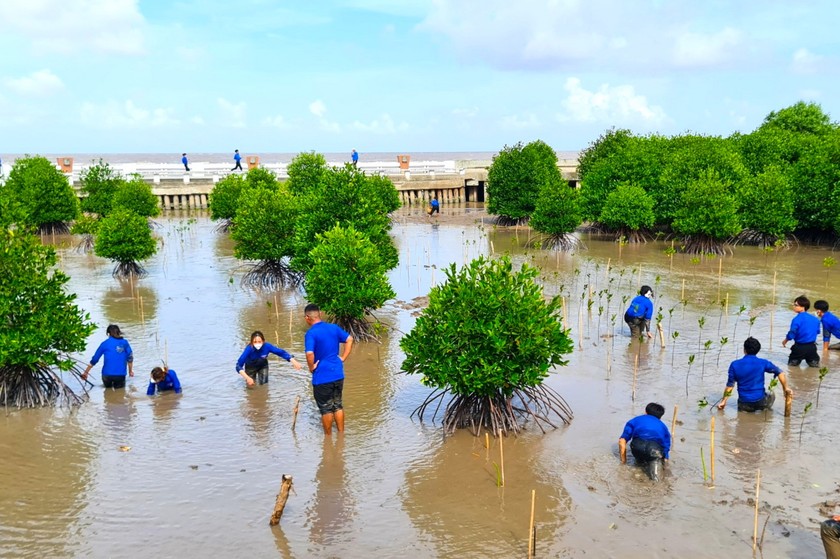 Phó Chủ tịch nước dự Lễ ra quân Thanh niên tình nguyện hè ở Cà Mau ảnh 4