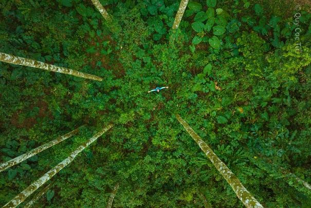 Vườn quốc gia Cúc Phương dưới ống kính của nhiếp ảnh gia Ngô Trần Hải An.