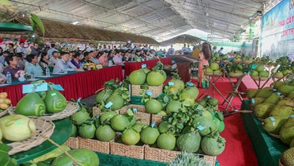 Hậu Giang tổ chức ngày Hội trái cây lần thứ nhất