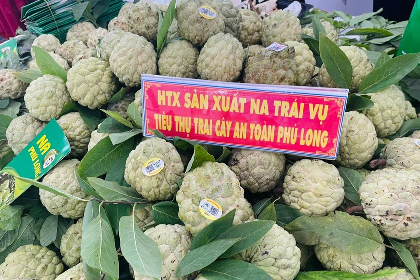 Quả na dai Phú Long tại Hội chợ Triển lãm Nông nghiệp Quốc tế lần thứ 23 – Agroviet 2023. Ảnh: Minh Trang