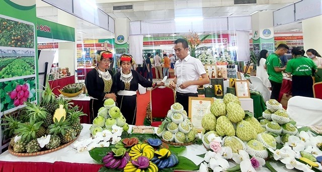 Gian hàng na Chi Lăng tại Tuần lễ quảng bá na, nông đặc sản và sản phẩm OCOP tỉnh Lạng Sơn năm 2023. 