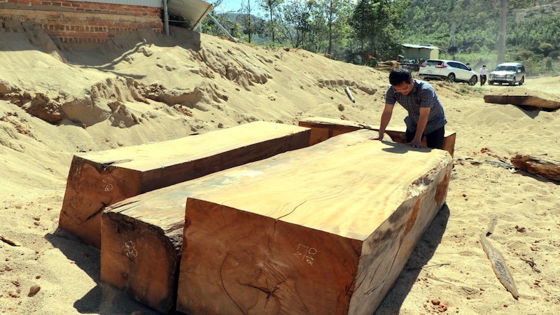 Gỗ hộp lớn được phát hiện tại tại mỏ khai thác cát, sỏi Công ty Trách nhiệm hữu hạn 87, huyện Đăk Hà, Kon Tum.