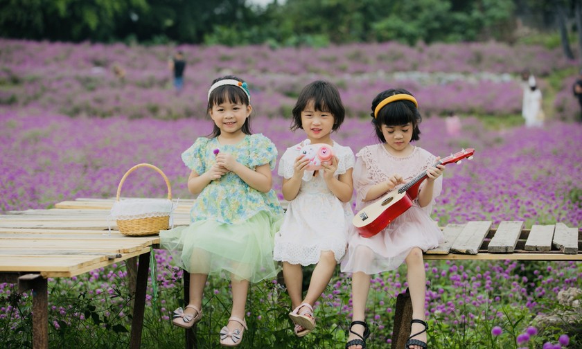 Hình ảnh siêu dễ thương của các bé gái bên cánh đồng hoa bách nhật.