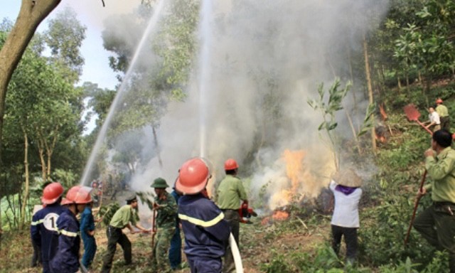 Hình ảnh minh họa. Nguồn ảnh Báo Chinhphu.vn