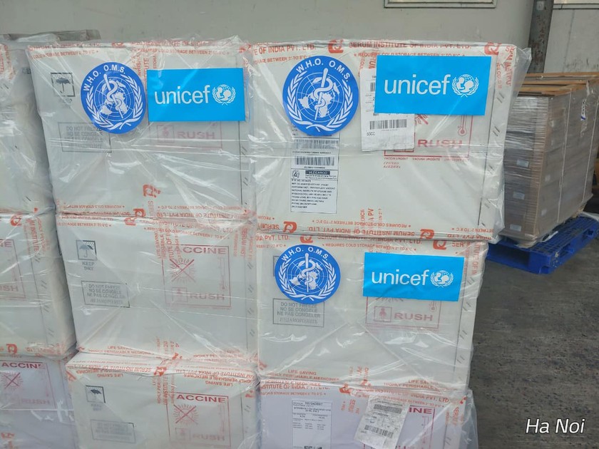 Lô vaccine 5 trong 1 gồm 187.000 liều về Hà Nội hôm nay Ảnh: UNICEF