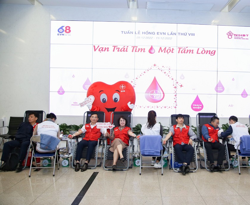 Tập đoàn điện lực Việt Nam phát động Tuần lễ hồng trên toàn quốc