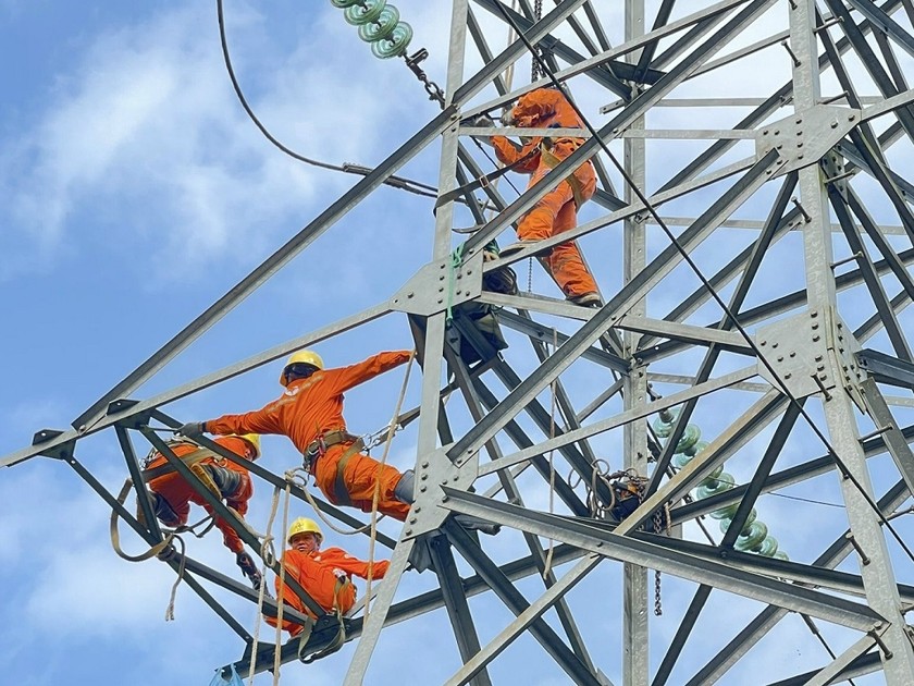 Đội quản lý vận hành Lưới điện cao thế Tuyên Quang vận dụng nhiều giải pháp xử lý vi phạm khoảng cách an toàn pha - đất