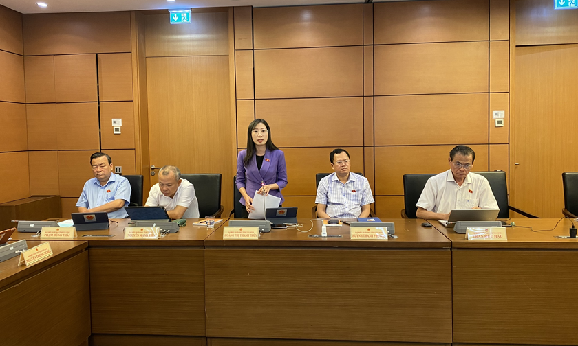 Đại biểu Hoàng Thị Thanh Thúy (đoàn Tây Ninh) phát biểu tại phiên họp.