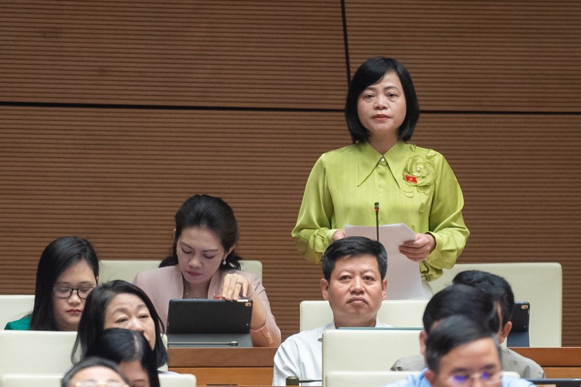 Đại biểu Nguyễn Thanh Cầm phát biểu tại phiên họp.