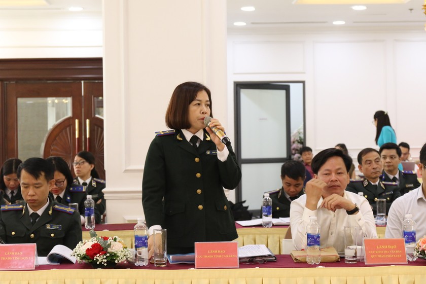 Đại diện lãnh đạo các Sở Tư pháp, Cục Thi hành án dân sự các tỉnh thuộc khu vực phát biểu tại hội nghị.