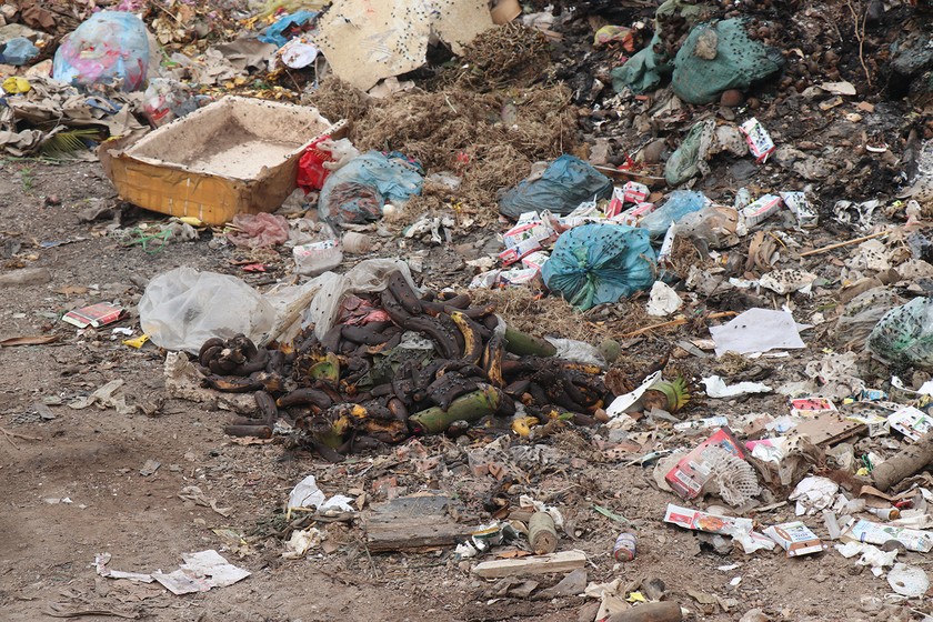 Nhiều loại rác, từ rác thải sinh hoạt, rác thải sản xuất, vật liệu xây dựng... được chất thành đống, gây ô nhiễm môi trường. Trời nắng, ruồi nhặng, mùi hôi thối, khói rác bốc lên nồng nặc. Một người dân thôn Đông Sơn cho biết, tình trạng này đã xảy ra từ lâu, nhất là những hôm trời nắng hoặc có người đốt rác, gió thổi vào trong làng khiến cuộc sống của người dân bị ảnh hưởng.